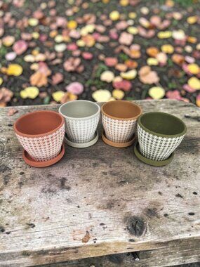 Set of 4 Terracotta Succulent Garden Planting Pots